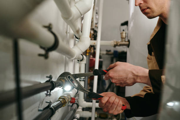 Best Local Plumber Services  in Alma, NE