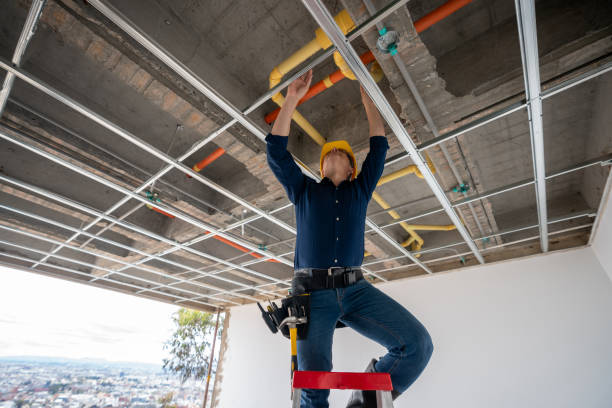 Best Plumbing Services Near Me  in Alma, NE